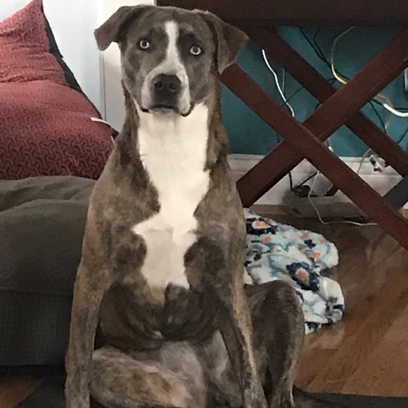 Meet your Posher, Belinda - Picture 4 of 6